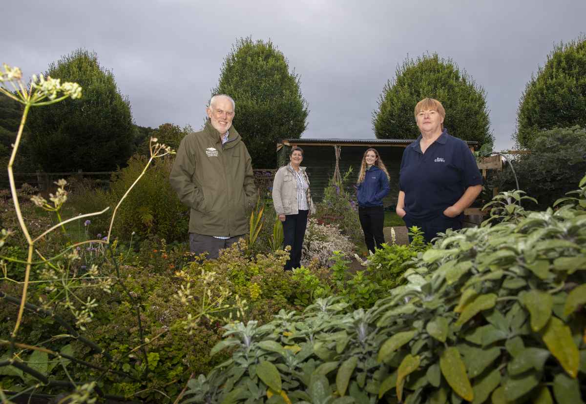 Community garden