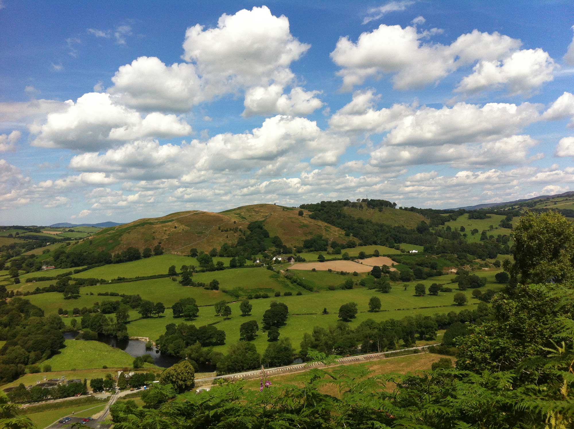 Caer Drewyn