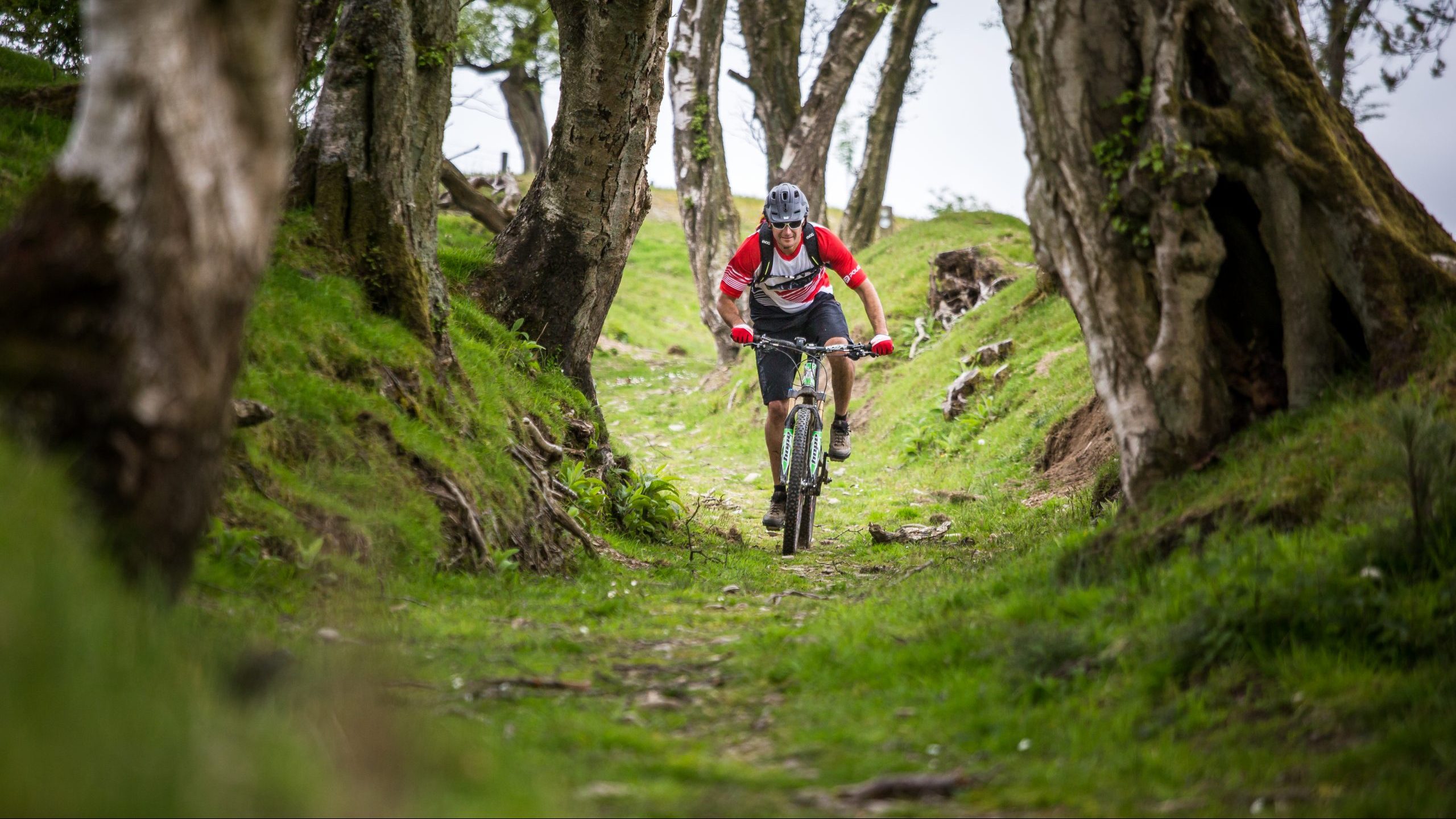 Mountain BIking in Clwydian Range and Dee Valley National Landscape