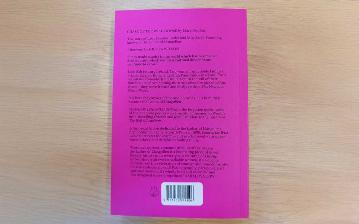 Chase of the Wild Goose book back